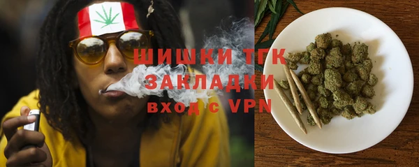СК Зеленокумск