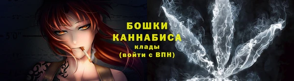 СК Зеленокумск