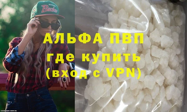 СК Зеленокумск