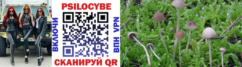 Галлюциногенные грибы прущие грибы  Купить  Орлов 